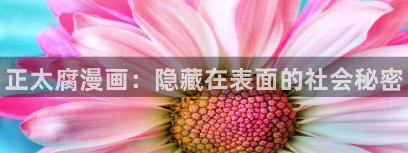 韩漫漫画app：正太腐漫画：隐藏在表面的社会秘密